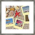 Sea Shells Framed Print