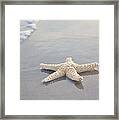 Sea Star Framed Print