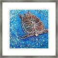 Sea Turtle Mr. Longevity Framed Print