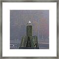 Seagull On His Throne Framed Print