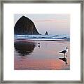 Seagulls And Haystack Rock Framed Print