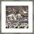 Seagulls And More Seagulls Taking Off From The Beach Nature Wildlife Fine Art Photograph Print Framed Print