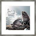 Harp Seal And Native Hunters Framed Print