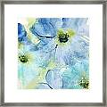 Seashell Cosmos 1 Framed Print