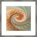 Seashell Swirl Framed Print