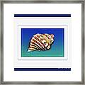Seashell Wall Art 1 - Blue Frame Framed Print