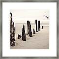 Seaside Framed Print