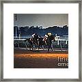 Seattle Slew And Affirmed Framed Print