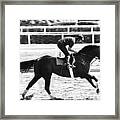 Seattle Slew Horse Racing #02 Framed Print