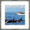 Seattle Whale Watchers Framed Print