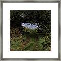 Secrets Hdr - Path Way Passing Through Covering Trees Into Mist Framed Print