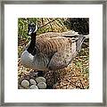 See My Eggs Framed Print