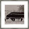Seeking Shelter From The Cold Framed Print