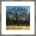 Sepulveda Dam At Dawn On New Year's Day 2015 Framed Print