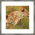 Serengeti Sisters Framed Print