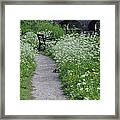 Serenity 2 Framed Print