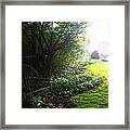 Serenity Framed Print