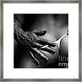Sexy Couple Closeup Of Bodies Black And White Framed Print