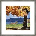 Shade Tree In Fall Framed Print