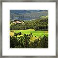 Shades Of Green In Black Forest Framed Print