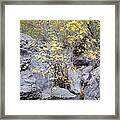 Shades Of Yellow Framed Print