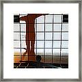 Shadow Dancer Ii Framed Print
