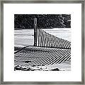 Shadow Harp Framed Print