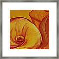 Shadow Lily Framed Print