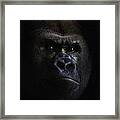 Shadow Series Five Framed Print