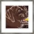 Shadow With Ball Framed Print