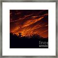 Shadowlands 7 Framed Print