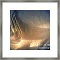 Shadowplay Framed Print