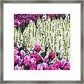 Shape Of Flowers Framed Print