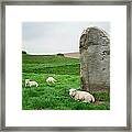 Sheep At Avebury Stones - Original Framed Print