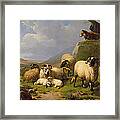 Sheep In A Landscape, 1863 Framed Print