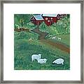 Sheeps In The Meadow Framed Print