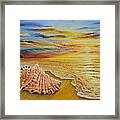 Shell At Sunset Framed Print