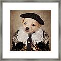Shelter Pets Project - Mia Framed Print