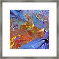 Shey Framed Print