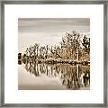 Shoreline 1 Framed Print