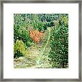 Short Hike Framed Print