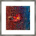Showers To Flowers Framed Print