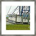 Shrimp Boat And Pelican - Lowlands Of South Carolina Framed Print