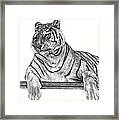 Siberian Tiger Framed Print