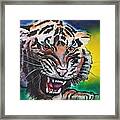Siberian Tigers Framed Print