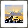 Signal Hill Sunset Framed Print