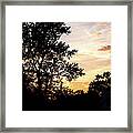 Silhouette Of Trees At Sunset Framed Print
