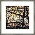 Silhouette Over Orange Framed Print