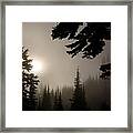 Silhouettes Of Trees On Mt Rainier Framed Print