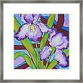 Silk Iris Framed Print